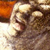 XANTHIPPE/Beziehungen III