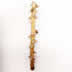 vertical stem
